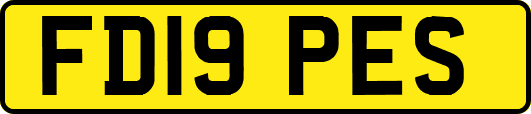 FD19PES