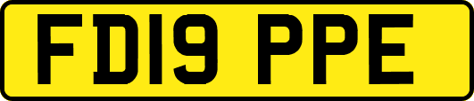 FD19PPE