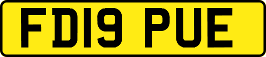 FD19PUE