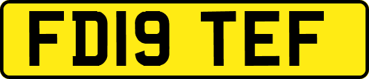 FD19TEF