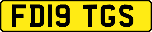 FD19TGS