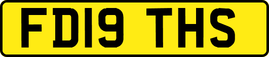 FD19THS