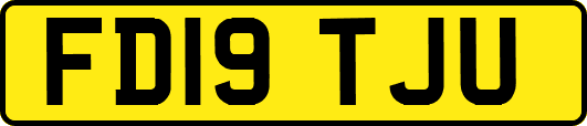 FD19TJU