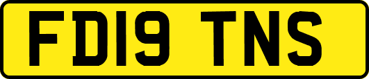 FD19TNS