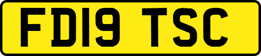 FD19TSC