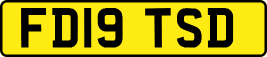 FD19TSD