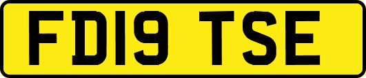 FD19TSE