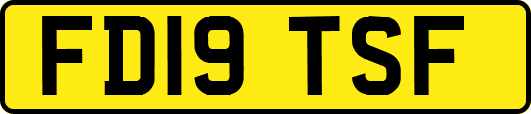 FD19TSF