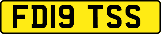 FD19TSS