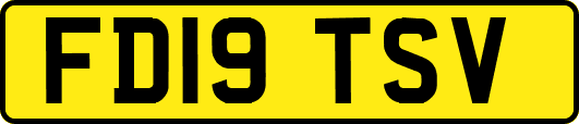 FD19TSV