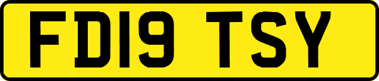 FD19TSY