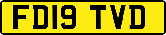 FD19TVD