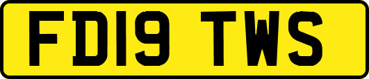 FD19TWS