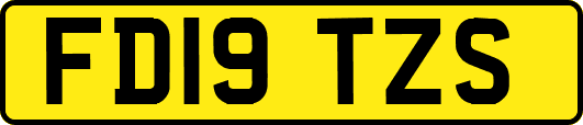 FD19TZS