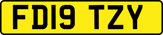 FD19TZY