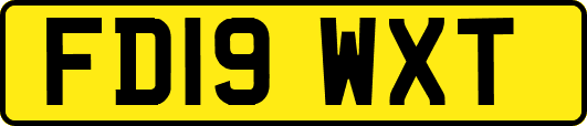 FD19WXT