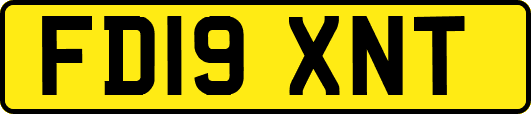 FD19XNT