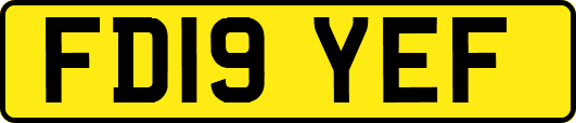 FD19YEF