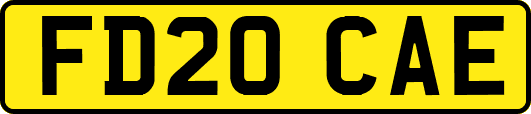 FD20CAE