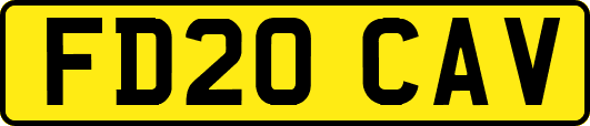 FD20CAV