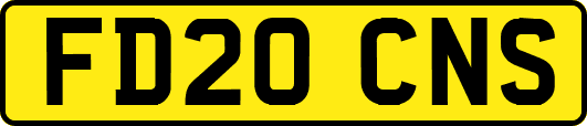 FD20CNS