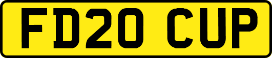 FD20CUP