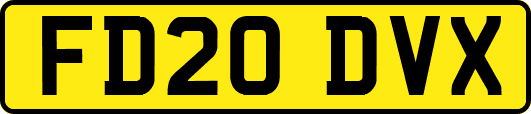 FD20DVX