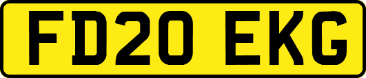 FD20EKG