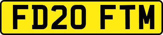 FD20FTM