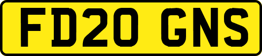 FD20GNS