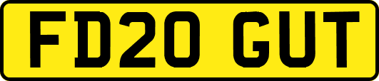 FD20GUT