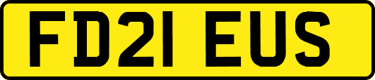 FD21EUS