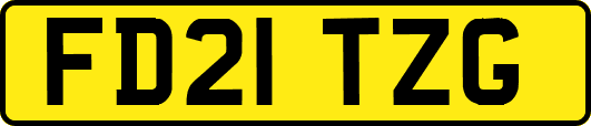 FD21TZG