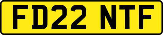 FD22NTF