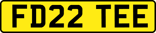 FD22TEE