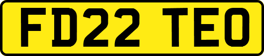 FD22TEO