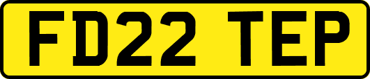 FD22TEP