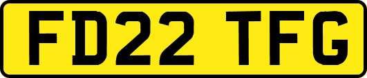 FD22TFG