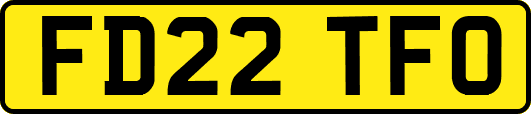 FD22TFO