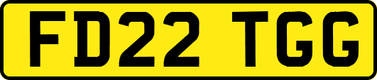 FD22TGG