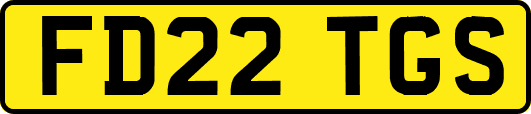 FD22TGS