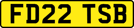 FD22TSB