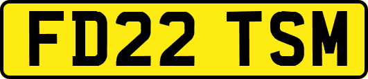 FD22TSM