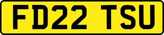 FD22TSU