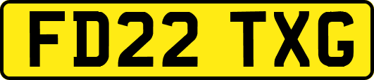 FD22TXG