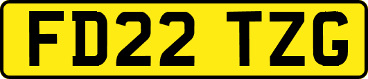 FD22TZG