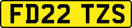 FD22TZS