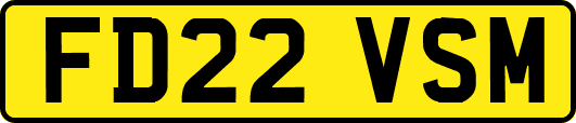 FD22VSM