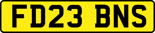FD23BNS