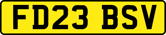 FD23BSV